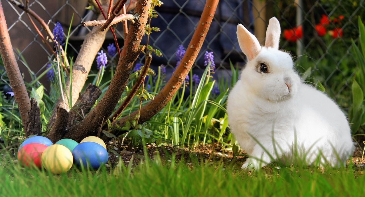easter-2173193_1280